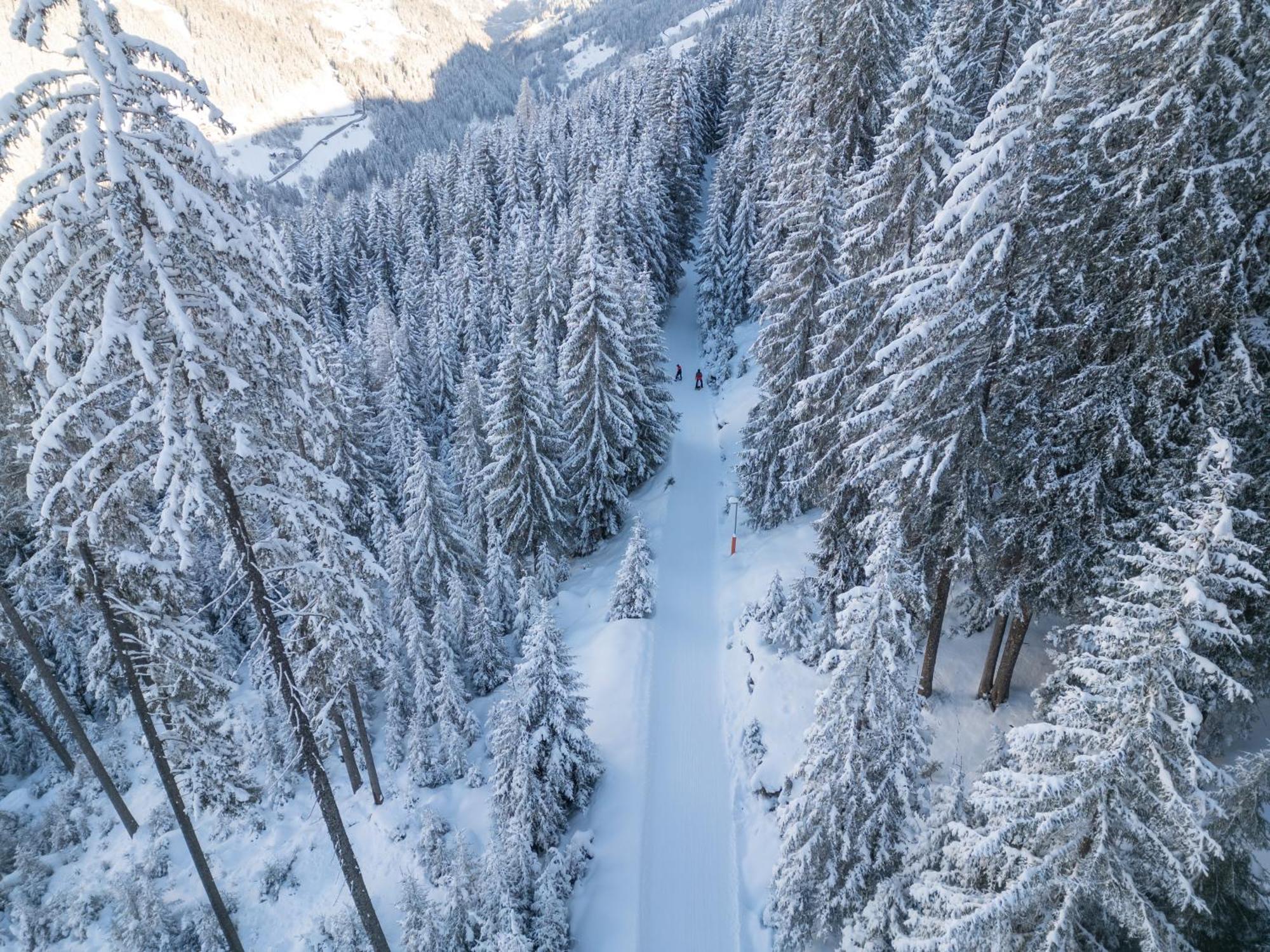 Das Luxurioese Chalet-Apartment In Der Residenz Silvretta - Inklusive Silvretta Card Premium سي المظهر الخارجي الصورة